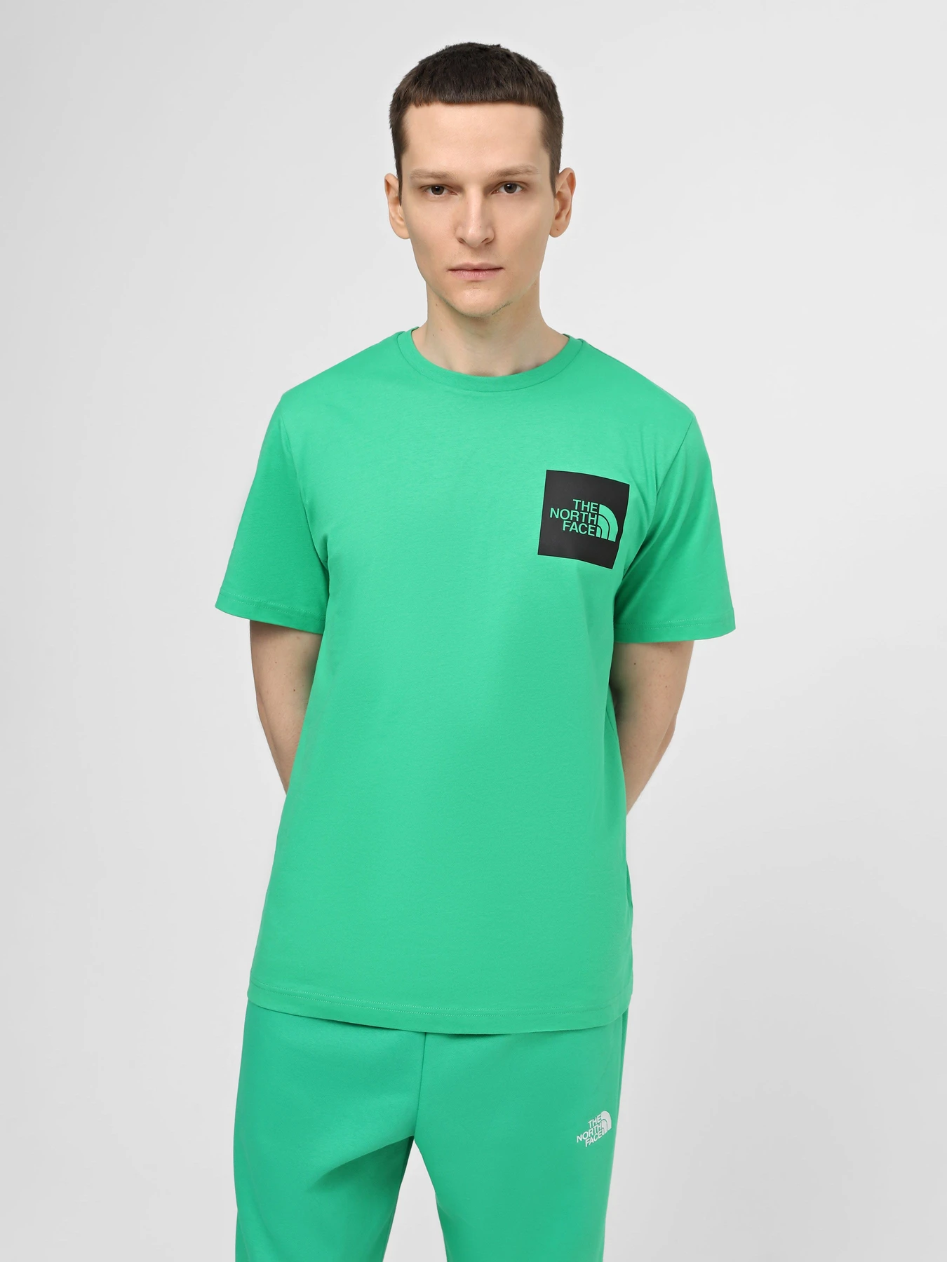 Футболки і поло The North Face M S/S Fine Tee модель NF0A87NDPO81 Футболки і поло The North Face M S/S Fine Tee модель NF0A87NDPO81 Фото