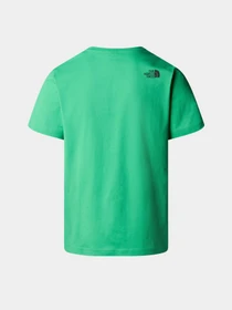 Футболки і поло The North Face M S/S Fine Tee модель NF0A87NDPO81 Фото
