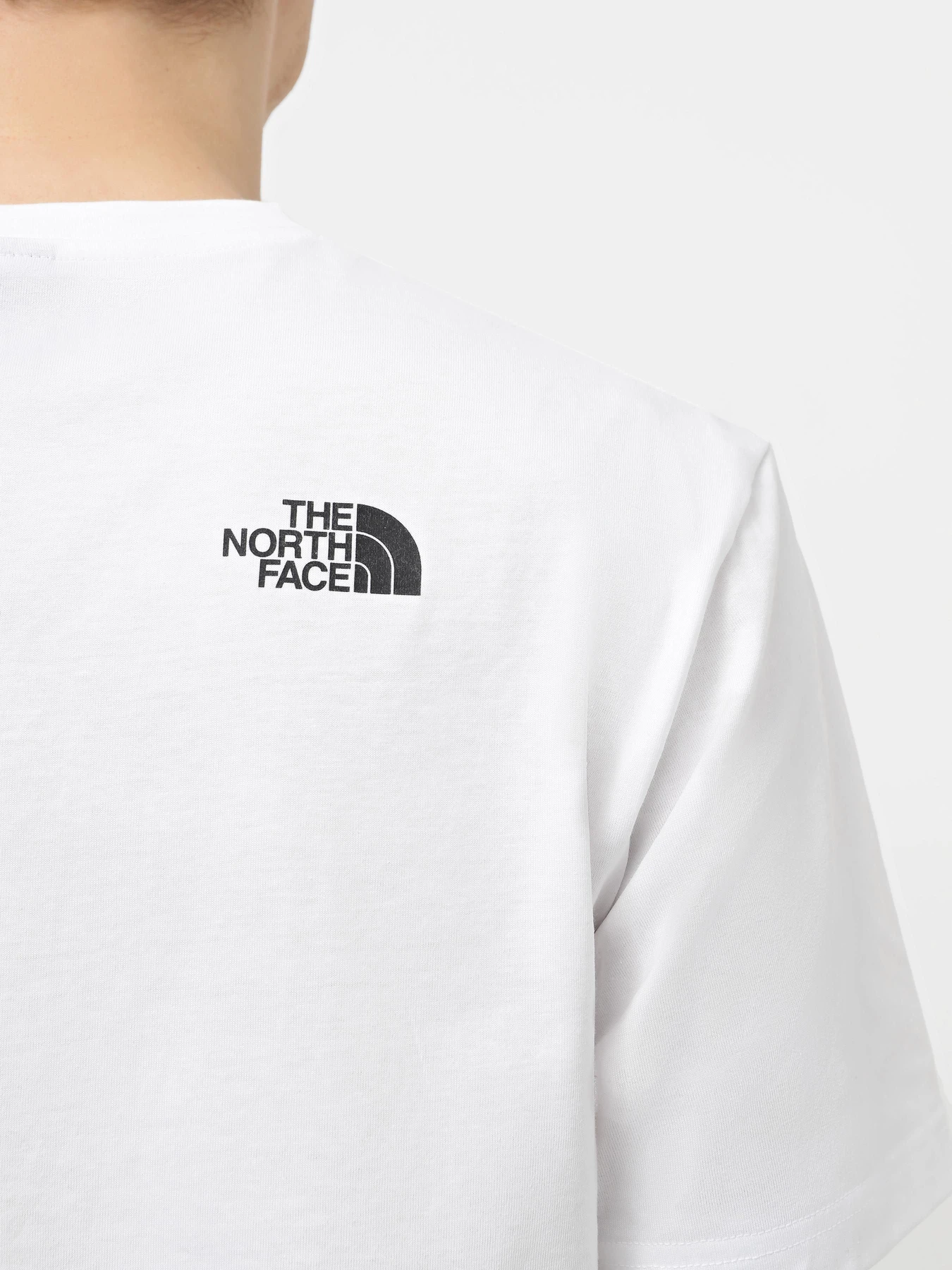 Футболки и поло The North Face Simple Dome модель NF0A87NGFN41 Футболки и поло The North Face Simple Dome модель NF0A87NGFN41 Фото
