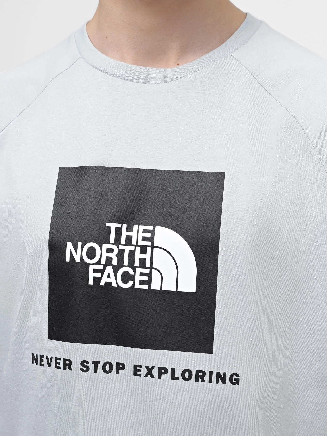 Футболки и поло The North Face Raglan Redbox модель NF0A87NJA0M1 Футболки и поло The North Face Raglan Redbox модель NF0A87NJA0M1 Фото