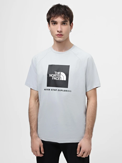 Футболки и поло The North Face Raglan Redbox модель NF0A87NJA0M1 Фото