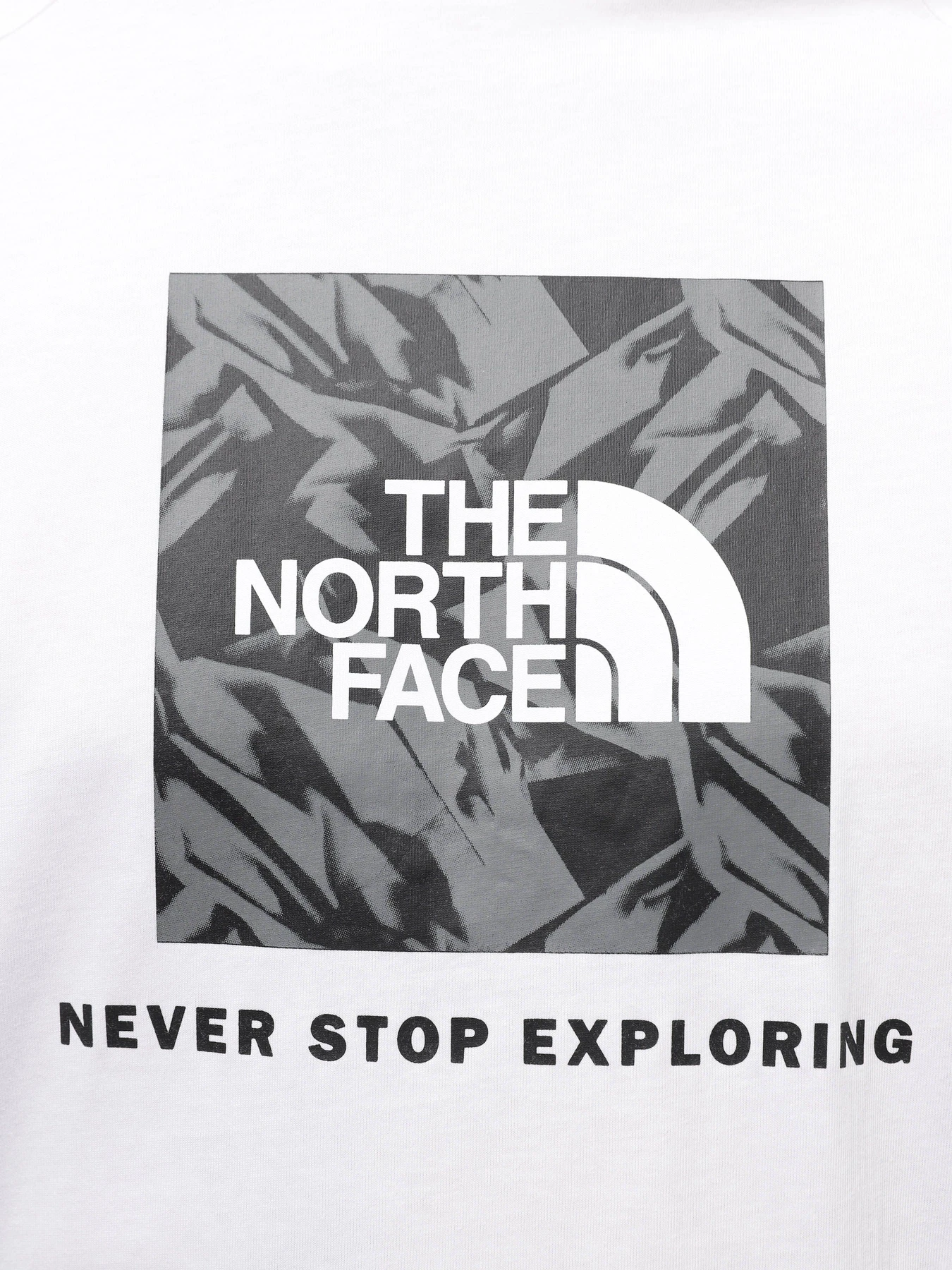 Футболки и поло The North Face Raglan Redbox модель NF0A87NJZI51 Футболки и поло The North Face Raglan Redbox модель NF0A87NJZI51 Фото