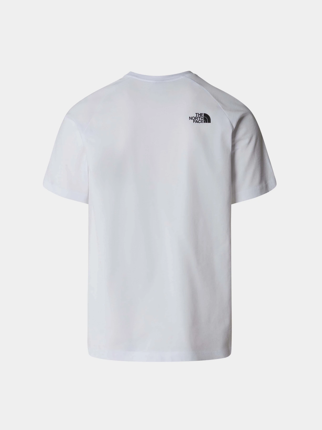 Футболки и поло The North Face Raglan Redbox модель NF0A87NJZI51 Футболки и поло The North Face Raglan Redbox модель NF0A87NJZI51 Фото