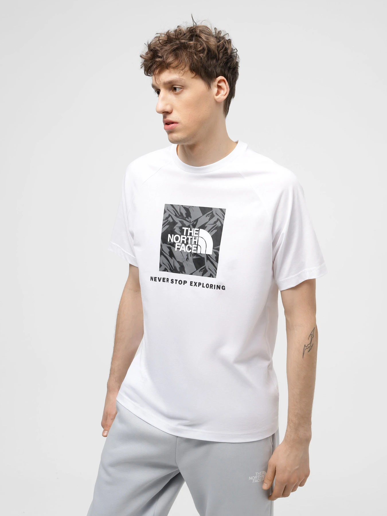 Футболки и поло The North Face Raglan Redbox модель NF0A87NJZI51 Футболки и поло The North Face Raglan Redbox модель NF0A87NJZI51 Фото