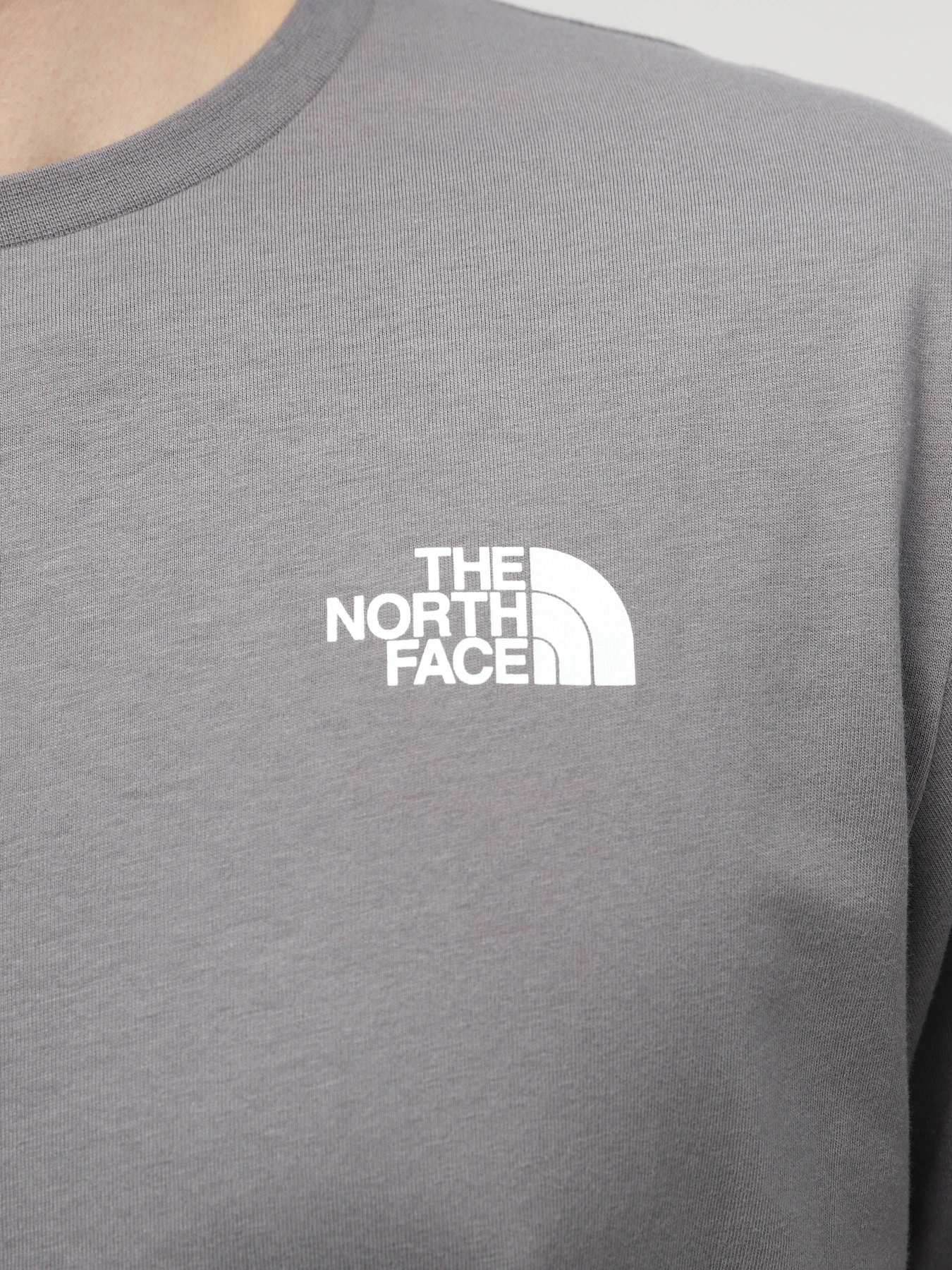 Футболки і поло The North Face Redbox модель NF0A87NP0UZ1 Футболки і поло The North Face Redbox модель NF0A87NP0UZ1 Фото