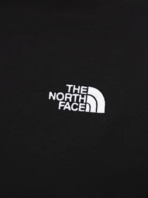 Футболки і поло The North Face Oversized Simple Dome модель NF0A87NQJK31 Фото