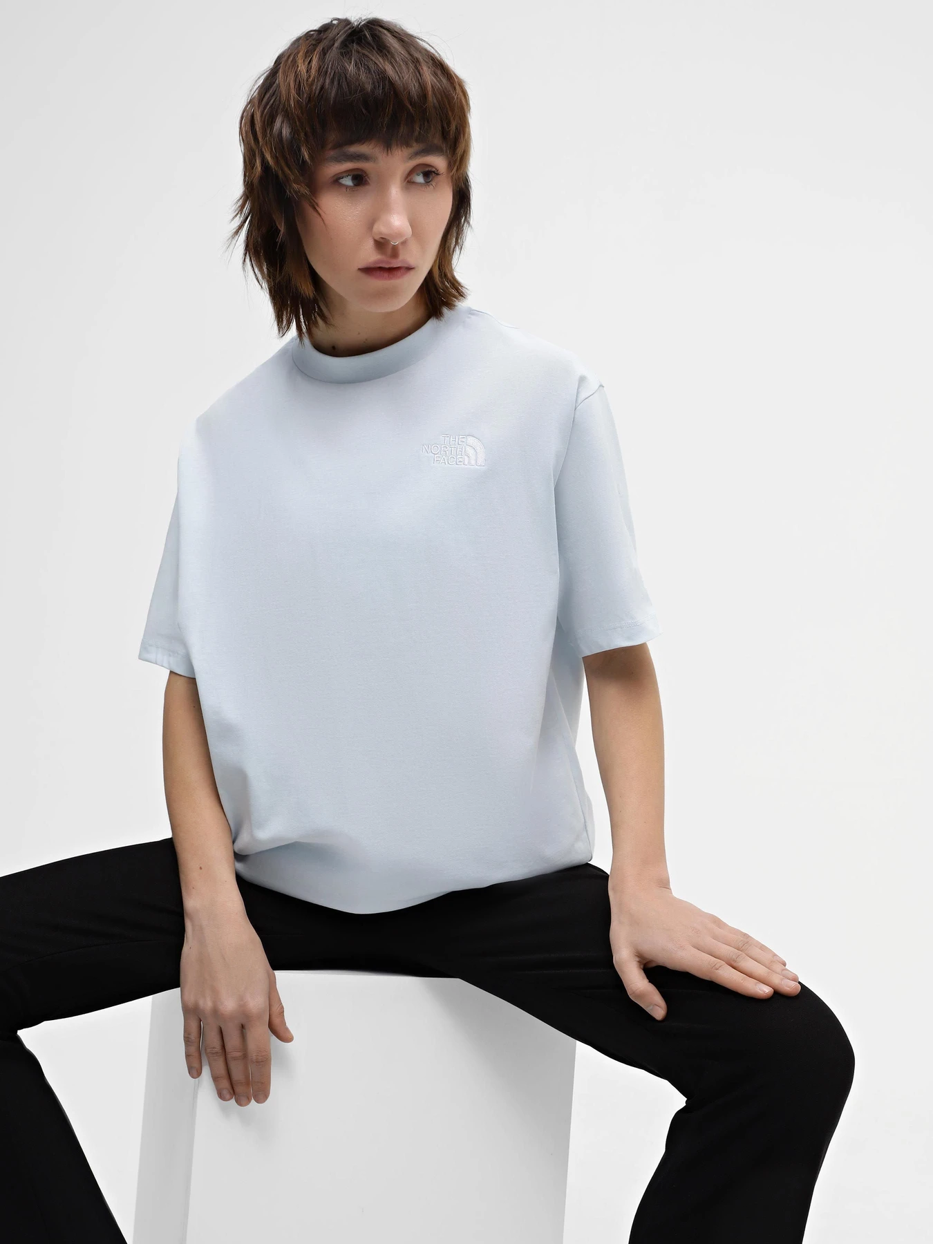 Футболки і поло The North Face Oversize Simple Dome модель NF0A87NQO0R1 Футболки і поло The North Face Oversize Simple Dome модель NF0A87NQO0R1 Фото