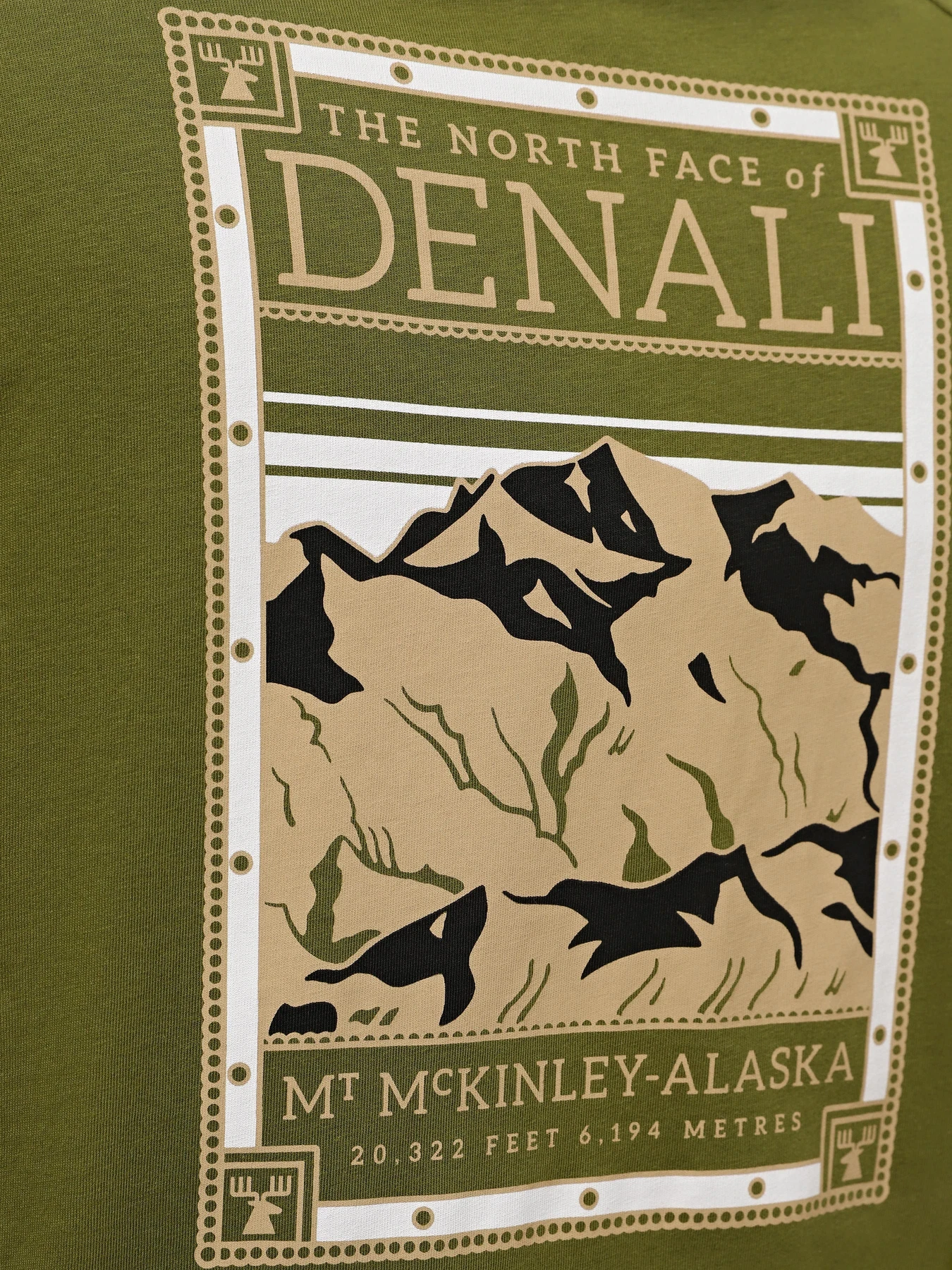 Футболки і поло The North Face M S/S North Faces Tee модель NF0A87NUPIB1 Футболки і поло The North Face M S/S North Faces Tee модель NF0A87NUPIB1 Фото