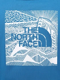 Футболки и поло The North Face Redbox Celebration модель NF0A87NVRBI1 Фото