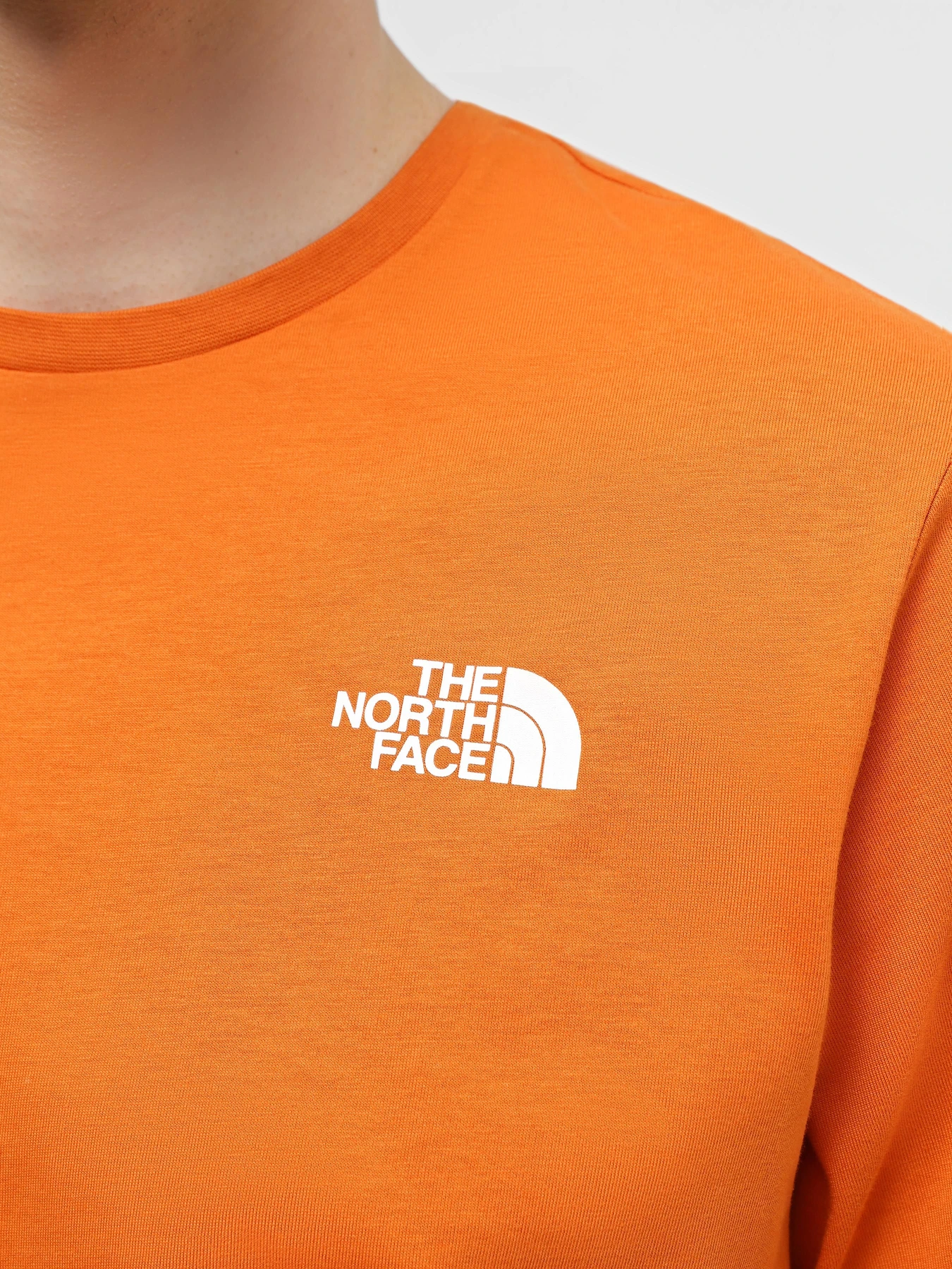 Футболки і поло The North Face Redbox Celebration Tee модель NF0A87NVPCO1 Футболки і поло The North Face Redbox Celebration Tee модель NF0A87NVPCO1 Фото