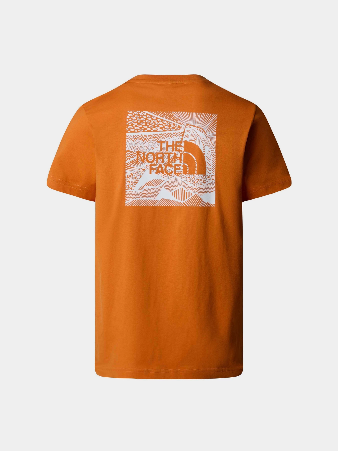 Футболки і поло The North Face Redbox Celebration Tee модель NF0A87NVPCO1 Футболки і поло The North Face Redbox Celebration Tee модель NF0A87NVPCO1 Фото