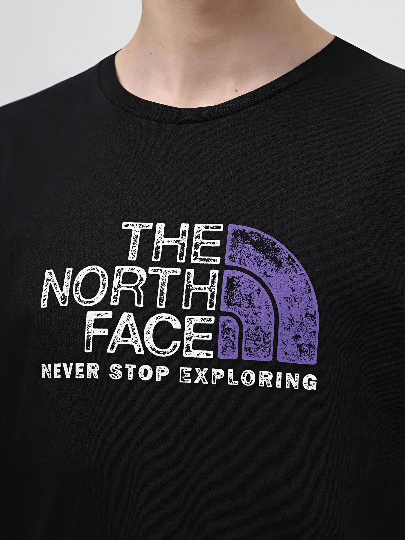 Футболки і поло The North Face S/S Rust 2 Tee модель NF0A87NWJK31 Фото