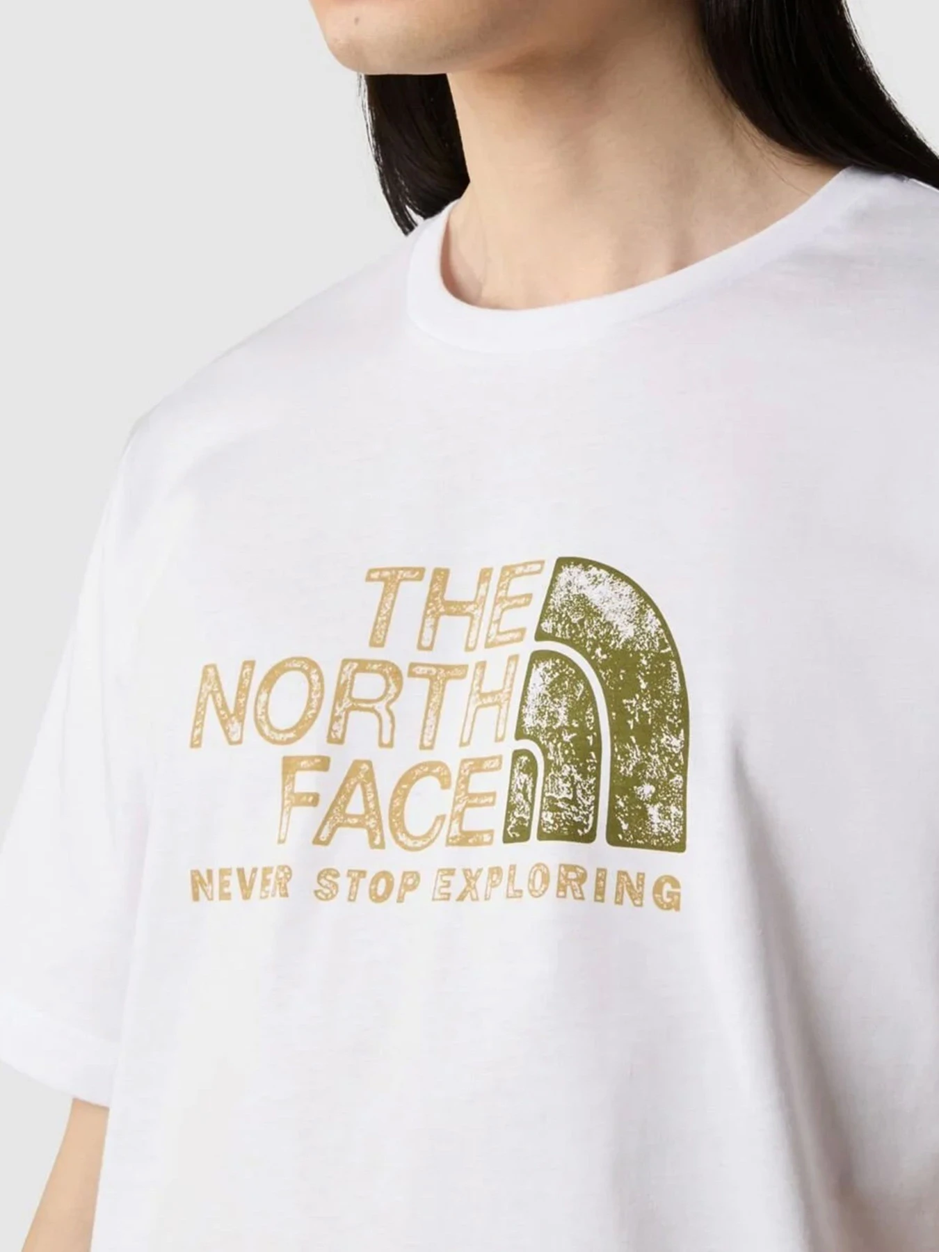 Футболки і поло The North Face S/S Rust 2 Tee модель NF0A87NWFN41 Футболки і поло The North Face S/S Rust 2 Tee модель NF0A87NWFN41 Фото