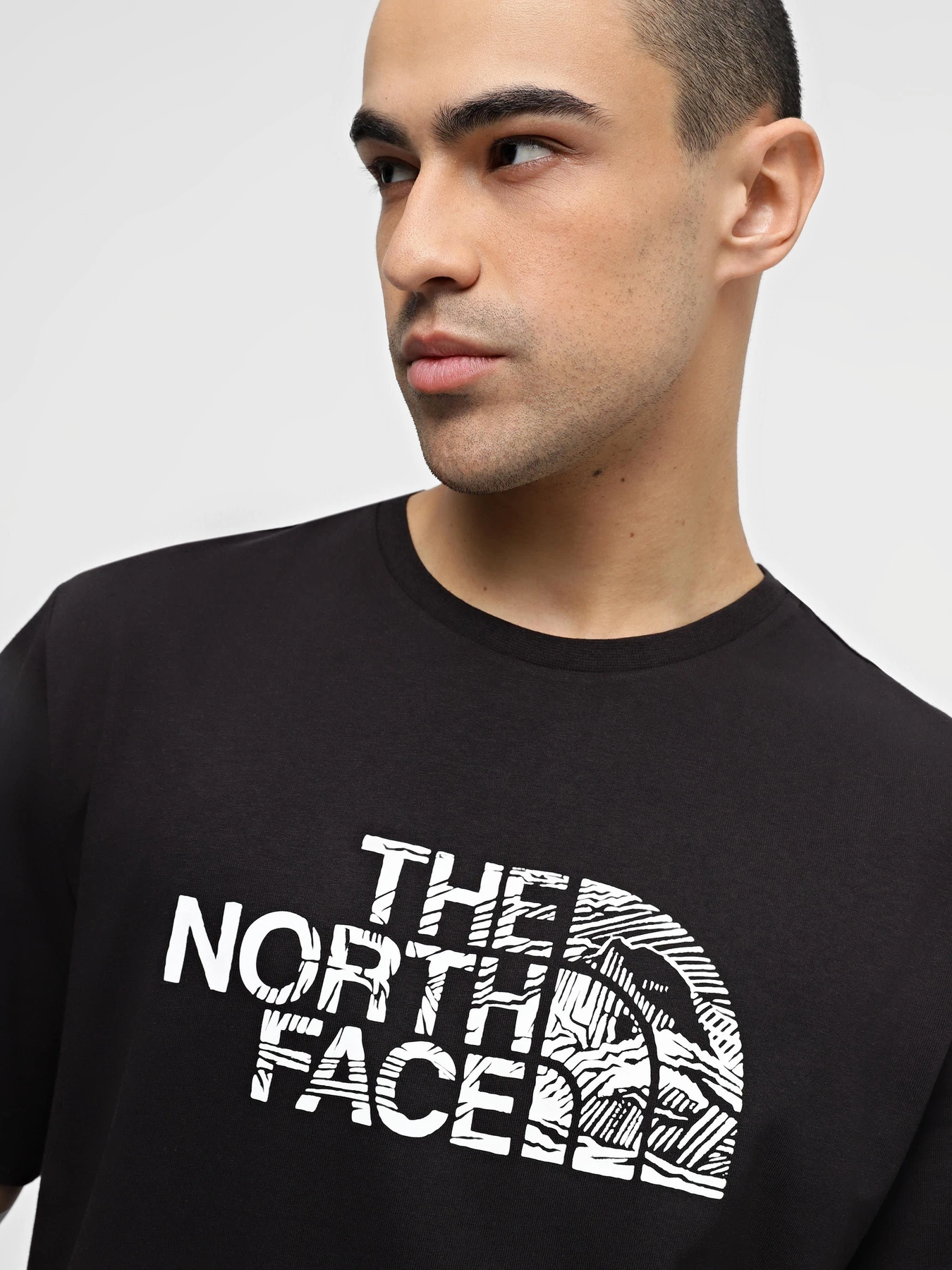 Футболки і поло The North Face Woodcut Dome Tee модель NF0A87NXJK31 Фото