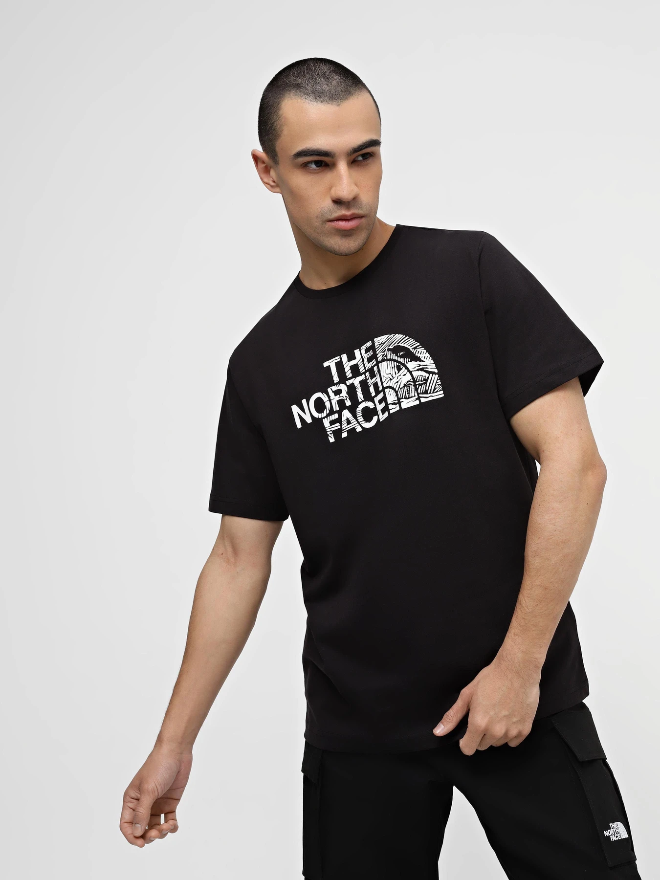 Футболки і поло The North Face Woodcut Dome Tee модель NF0A87NXJK31 Фото