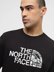 Футболки і поло The North Face Woodcut Dome Tee модель NF0A87NXJK31 Фото
