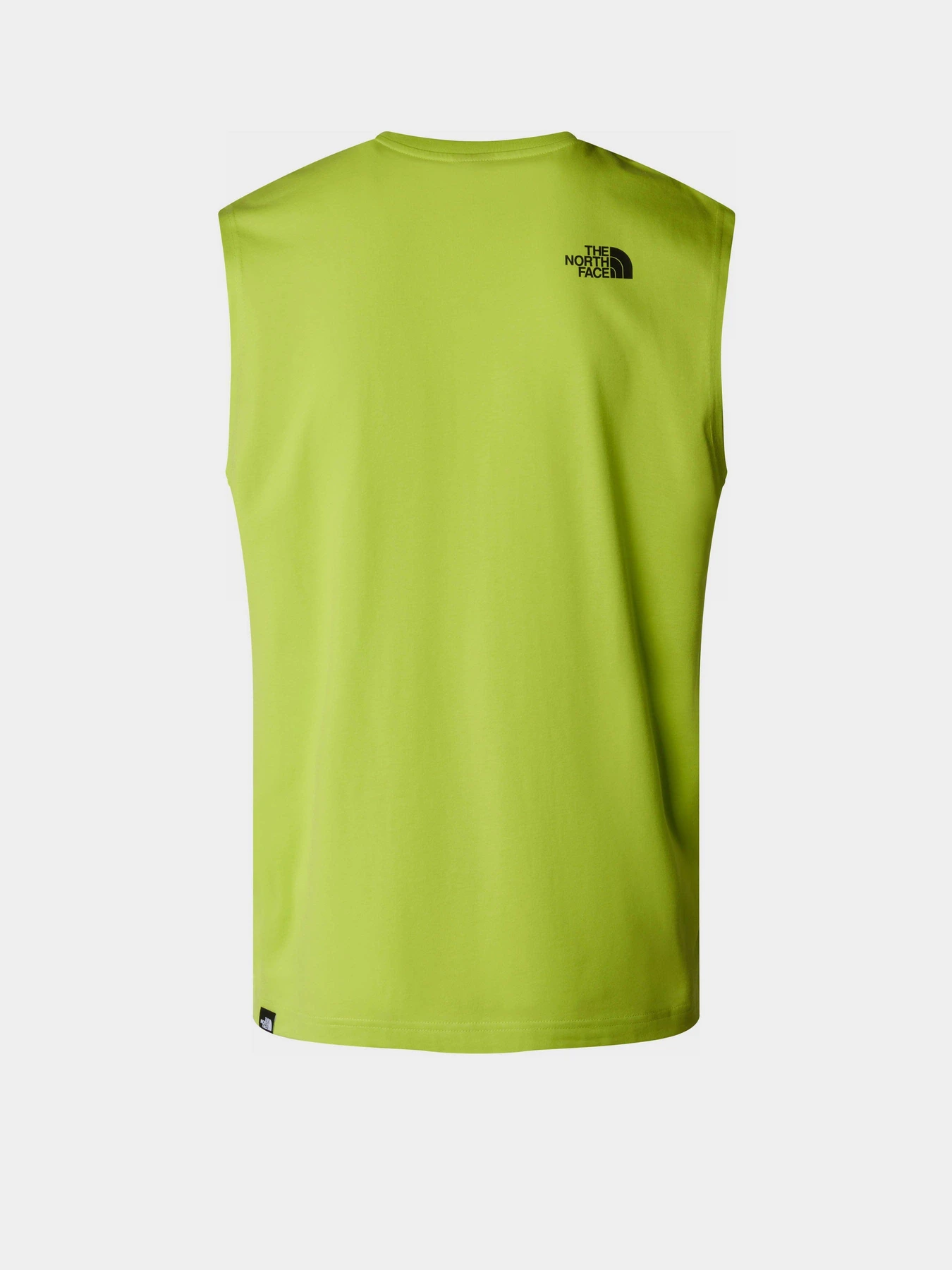Футболки і поло The North Face M Simple Dome Tank модель NF0A87R3RIQ1 Футболки і поло The North Face M Simple Dome Tank модель NF0A87R3RIQ1 Фото