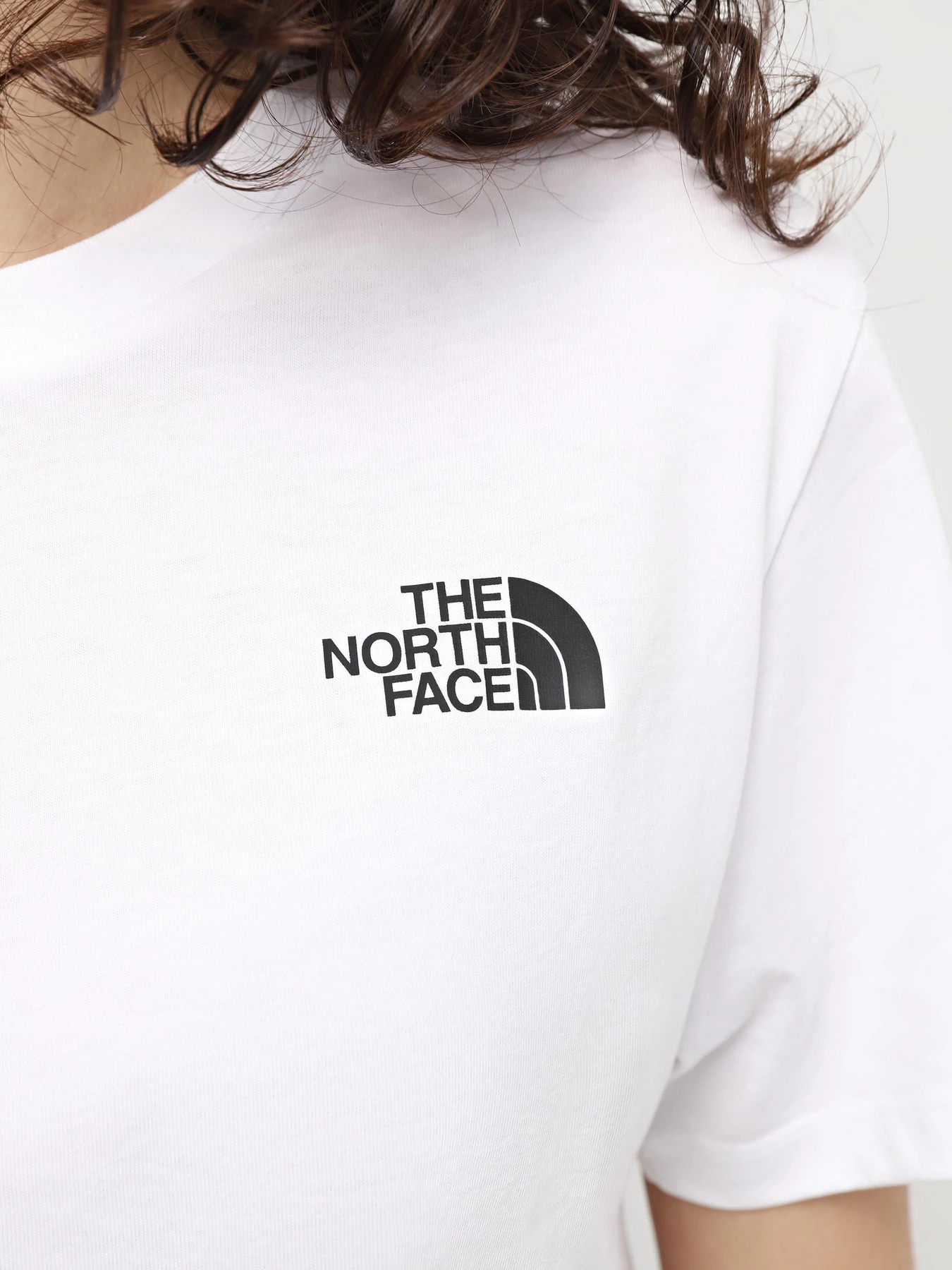 Футболки и поло The North Face Simple Dome модель NF0A87U4FN41 Футболки и поло The North Face Simple Dome модель NF0A87U4FN41 Фото