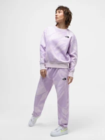 Брюки The North Face W Essential Jogger Print модель NF0A881EUI61 Фото