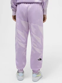 Брюки The North Face W Essential Jogger Print модель NF0A881EUI61 Фото