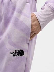Брюки The North Face W Essential Jogger Print модель NF0A881EUI61 Фото