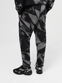 Брюки The North Face M Essential Jogger Print модель NF0A881JSIF1 Фото