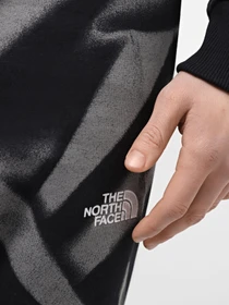 Брюки The North Face M Essential Jogger Print модель NF0A881JSIF1 Фото