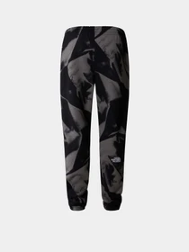 Брюки The North Face M Essential Jogger Print модель NF0A881JSIF1 Фото