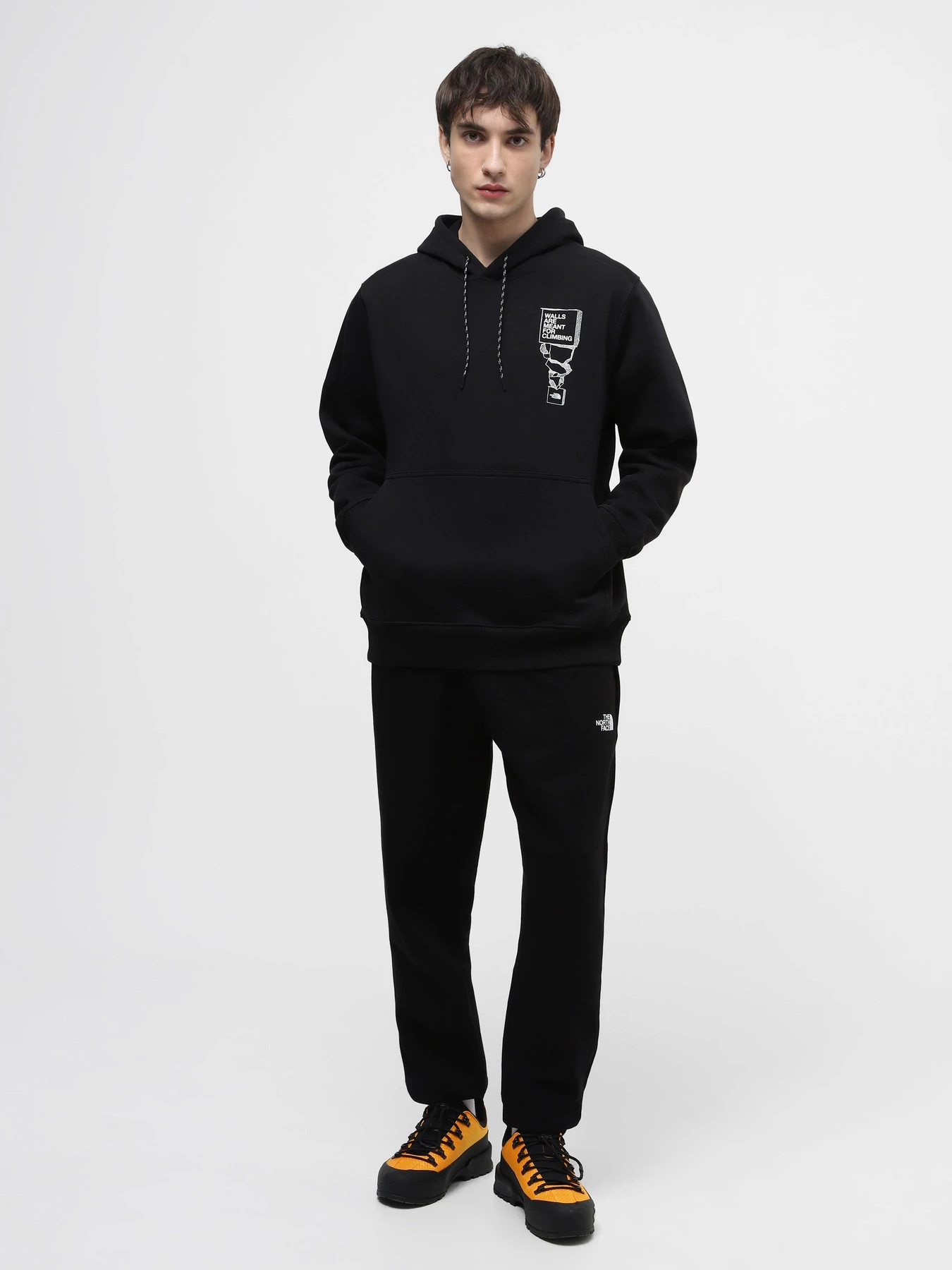Худи и свитшоты The North Face M Outdoor Graphic Hoodie модель NF0A87FGJK31 Худи и свитшоты The North Face M Outdoor Graphic Hoodie модель NF0A87FGJK31 Фото