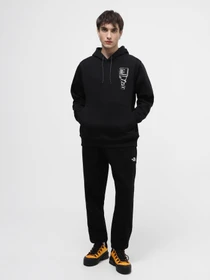 Худи и свитшоты The North Face M Outdoor Graphic Hoodie модель NF0A87FGJK31 Фото
