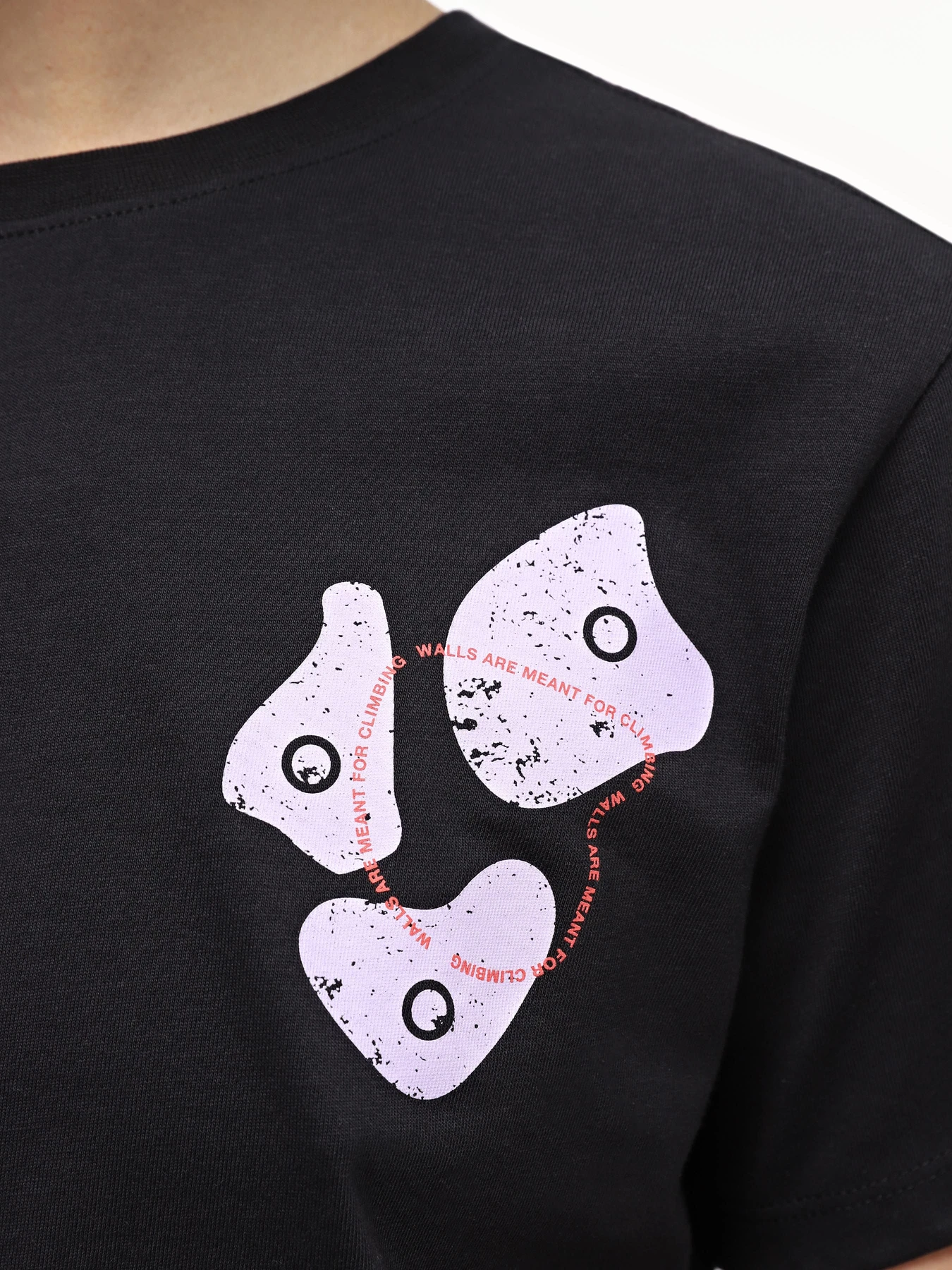 Футболки и поло The North Face W Outdoor S/S Tee модель NF0A87FJJK31 Футболки и поло The North Face W Outdoor S/S Tee модель NF0A87FJJK31 Фото