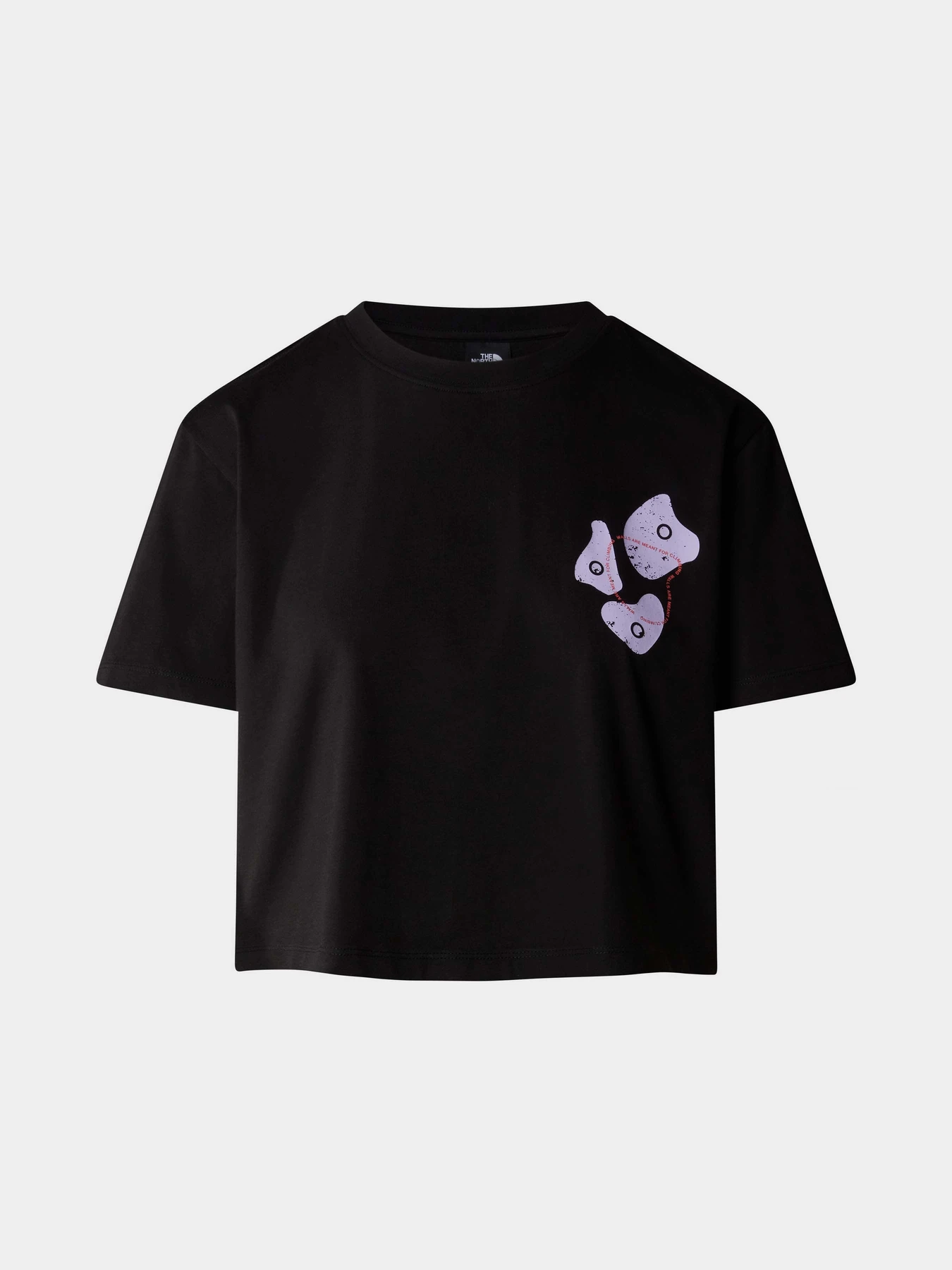 Футболки и поло The North Face W Outdoor S/S Tee модель NF0A87FJJK31 Футболки и поло The North Face W Outdoor S/S Tee модель NF0A87FJJK31 Фото