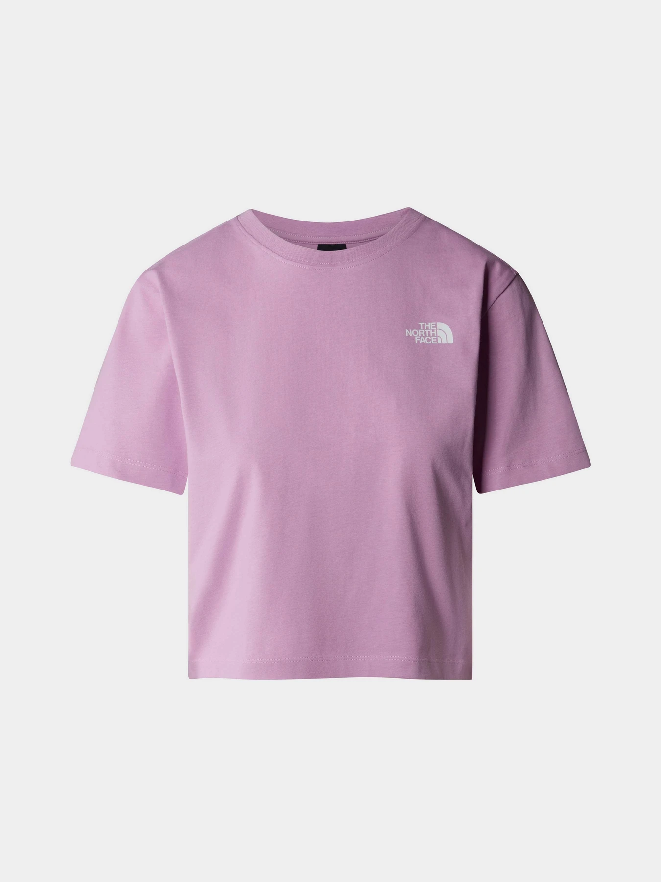 Футболки и поло The North Face W Outdoor S/S Tee модель NF0A880NPO21 Футболки и поло The North Face W Outdoor S/S Tee модель NF0A880NPO21 Фото