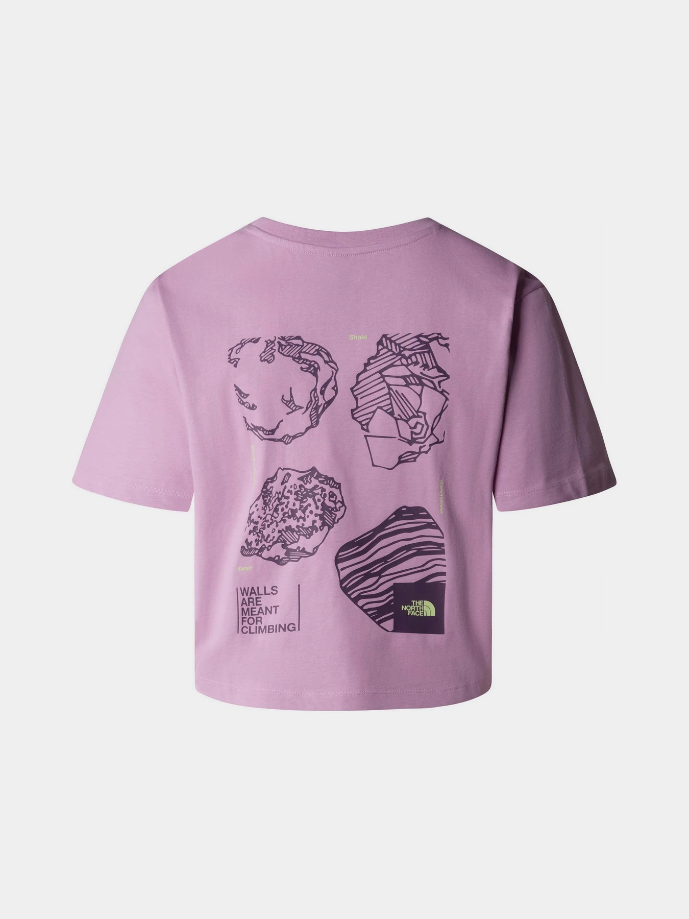 Футболки и поло The North Face W Outdoor S/S Tee модель NF0A880NPO21 Футболки и поло The North Face W Outdoor S/S Tee модель NF0A880NPO21 Фото