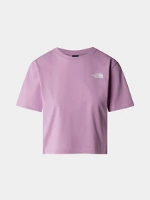 Футболки и поло The North Face W Outdoor S/S Tee модель NF0A880NPO21 Фото