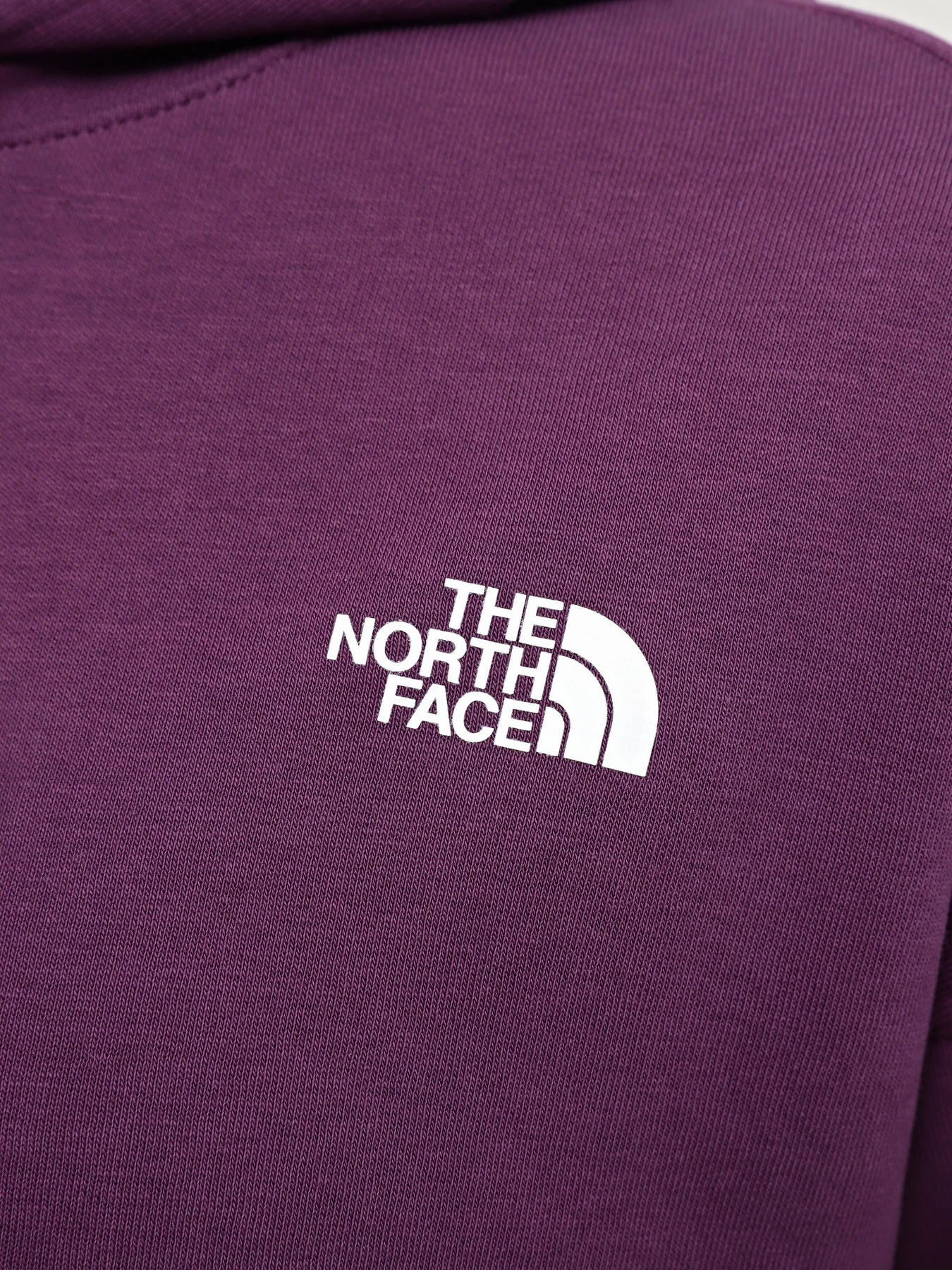 Худи и свитшоты The North Face W Outdoor Graphic Hoodie модель NF0A880PV6V1 Фото