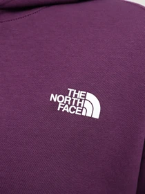Худи и свитшоты The North Face W Outdoor Graphic Hoodie модель NF0A880PV6V1 Фото