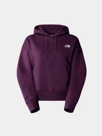 Худи и свитшоты The North Face W Outdoor Graphic Hoodie модель NF0A880PV6V1 Фото