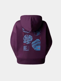 Худи и свитшоты The North Face W Outdoor Graphic Hoodie модель NF0A880PV6V1 Фото