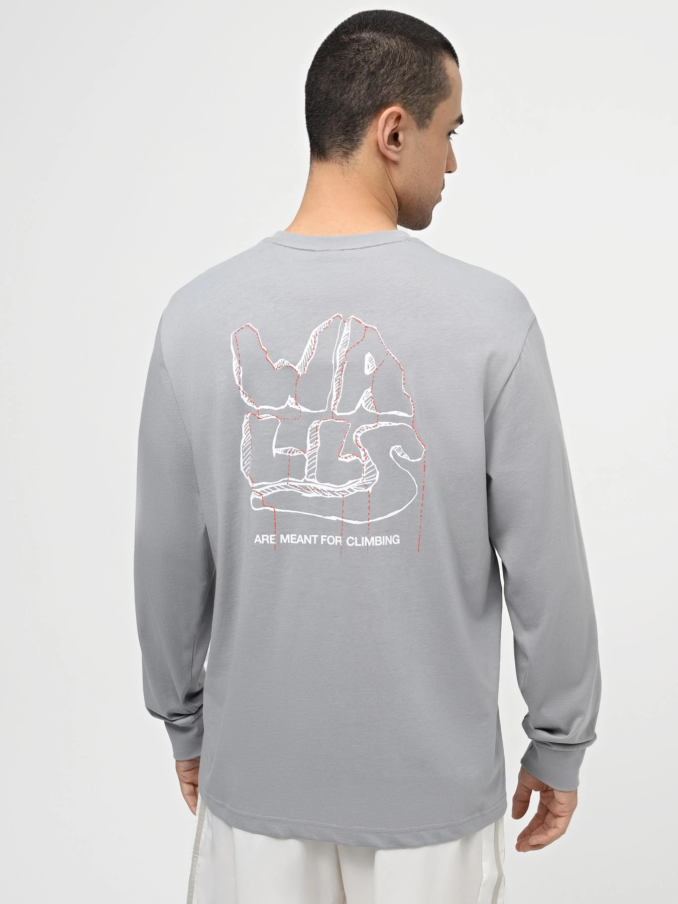Худи и свитшоты The North Face M Outdoor Graphic L/S модель NF0A880WH5F1 Худи и свитшоты The North Face M Outdoor Graphic L/S модель NF0A880WH5F1 Фото