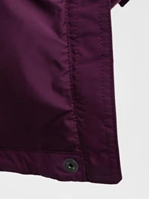 Куртки и дубленки The North Face Reign On Jacket модель NF0A3XDC6NR1 Фото