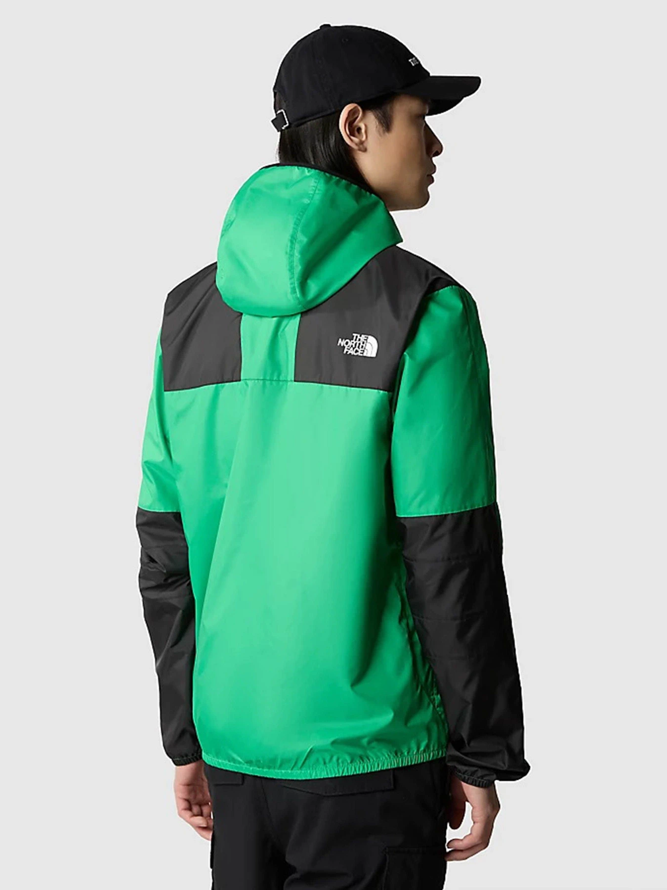 Куртки и дубленки The North Face M Seasonal Mountain Jacket - Eu модель NF0A5IG3PO81 Фото