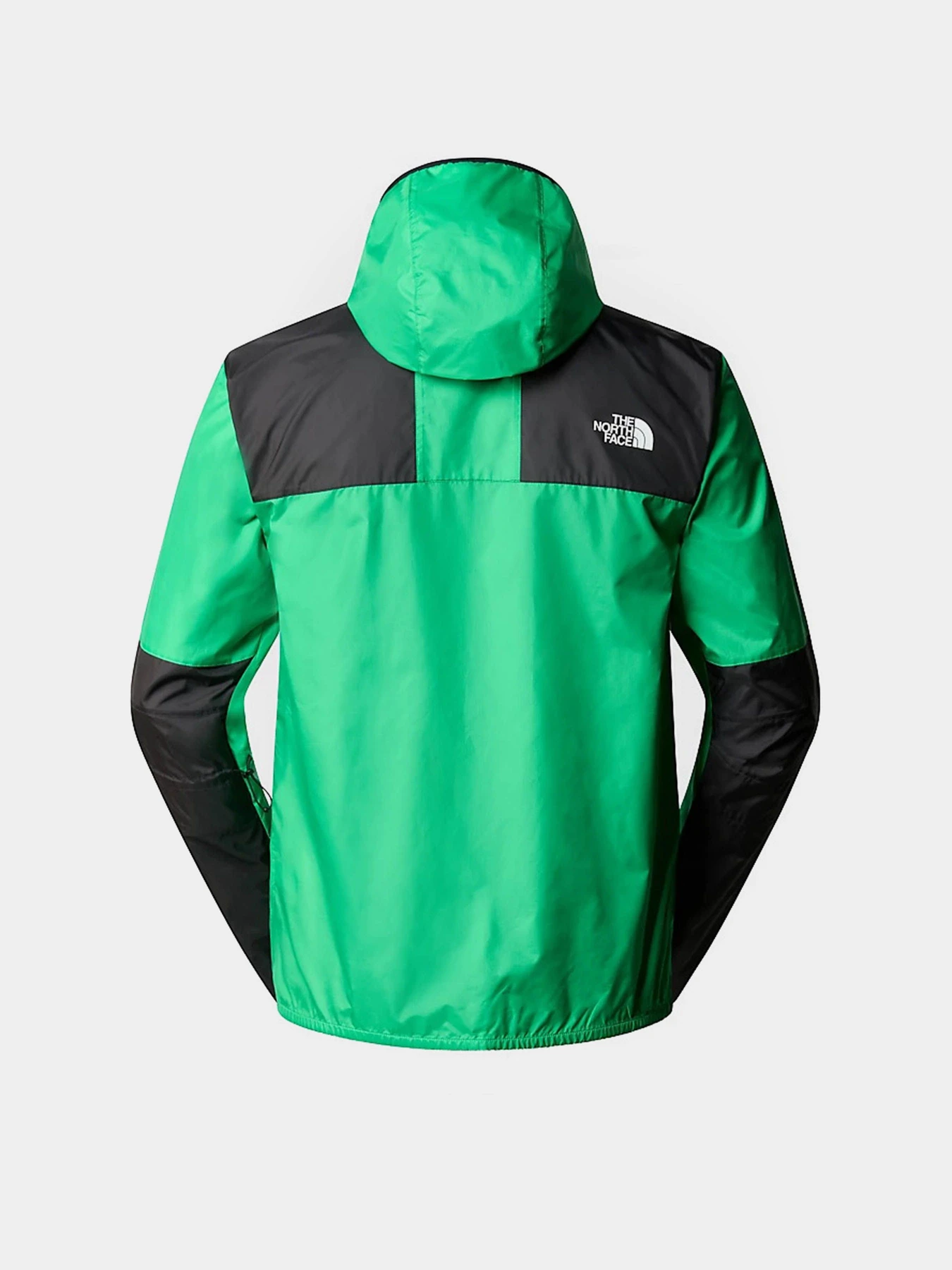 Куртки и дубленки The North Face M Seasonal Mountain Jacket - Eu модель NF0A5IG3PO81 Фото