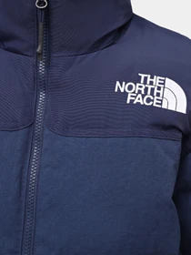 Куртки и дубленки The North Face W 92 Ripstop Nuptse Jacket модель NF0A870R8K21 Фото
