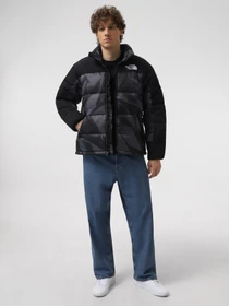 Куртки та дублянки The North Face M Hmlyn Insulated Jacket Print модель NF0A887ASIF1 Фото