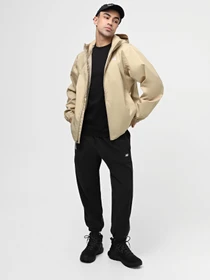 Куртки и дубленки The North Face Quest модель NF00A8AZLK51 Фото