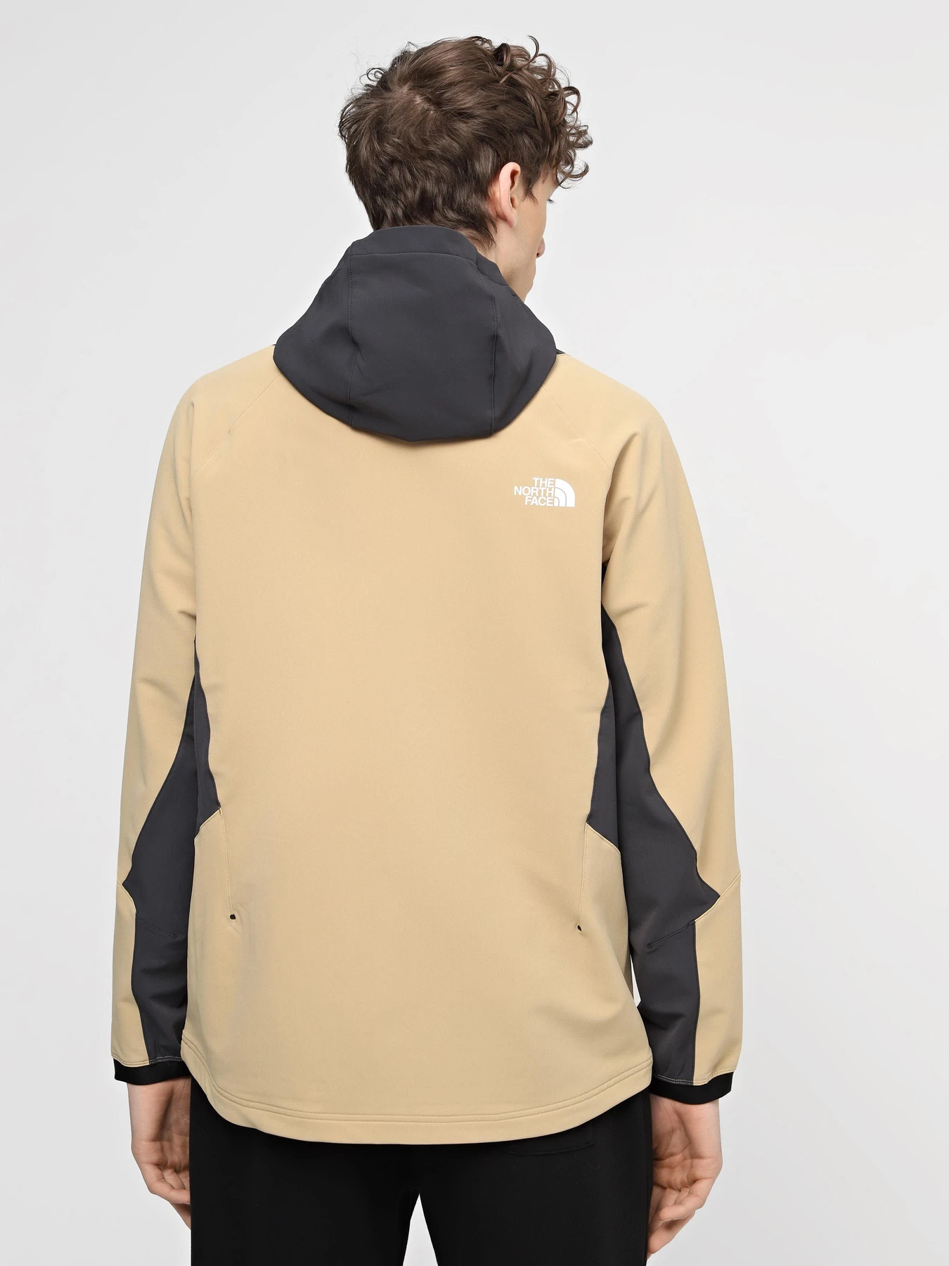 Куртки та дублянки The North Face M Ao Softshell Hoodie модель NF0A7ZF5IML1 Фото