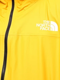 Куртки и дубленки The North Face M Summit Papsura Futurelight Jacket модель NF0A84PR56P1 Фото