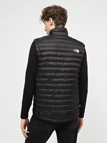 Куртки та дублянки The North Face M Huila Synthetic Vest модель NF0A85AFJK31 Фото