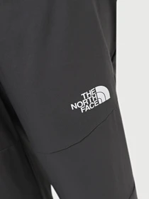Брюки The North Face W Ma Wind Track Pant модель NF0A87G5WUO1 Фото